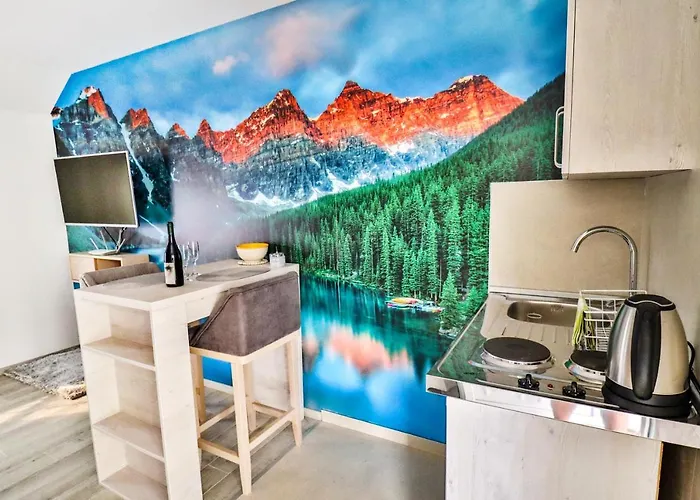 Simo Airport Apartament Podgorica